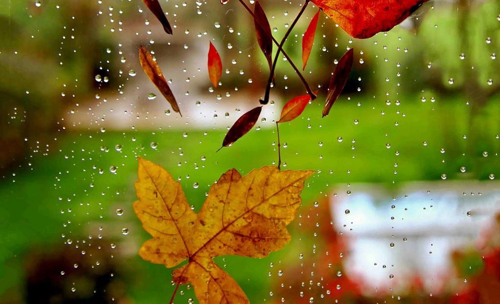 smrain